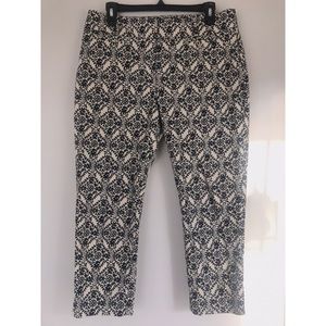 LOFT Pencil Pants in Julie fit